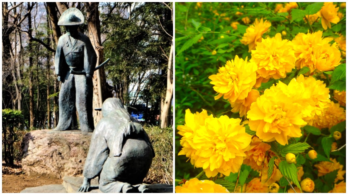 山吹の花を差し出す少女と道灌の銅像