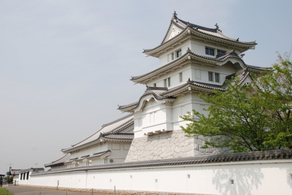関宿城は関東の要衝として戦国時代以前から重要視された城です