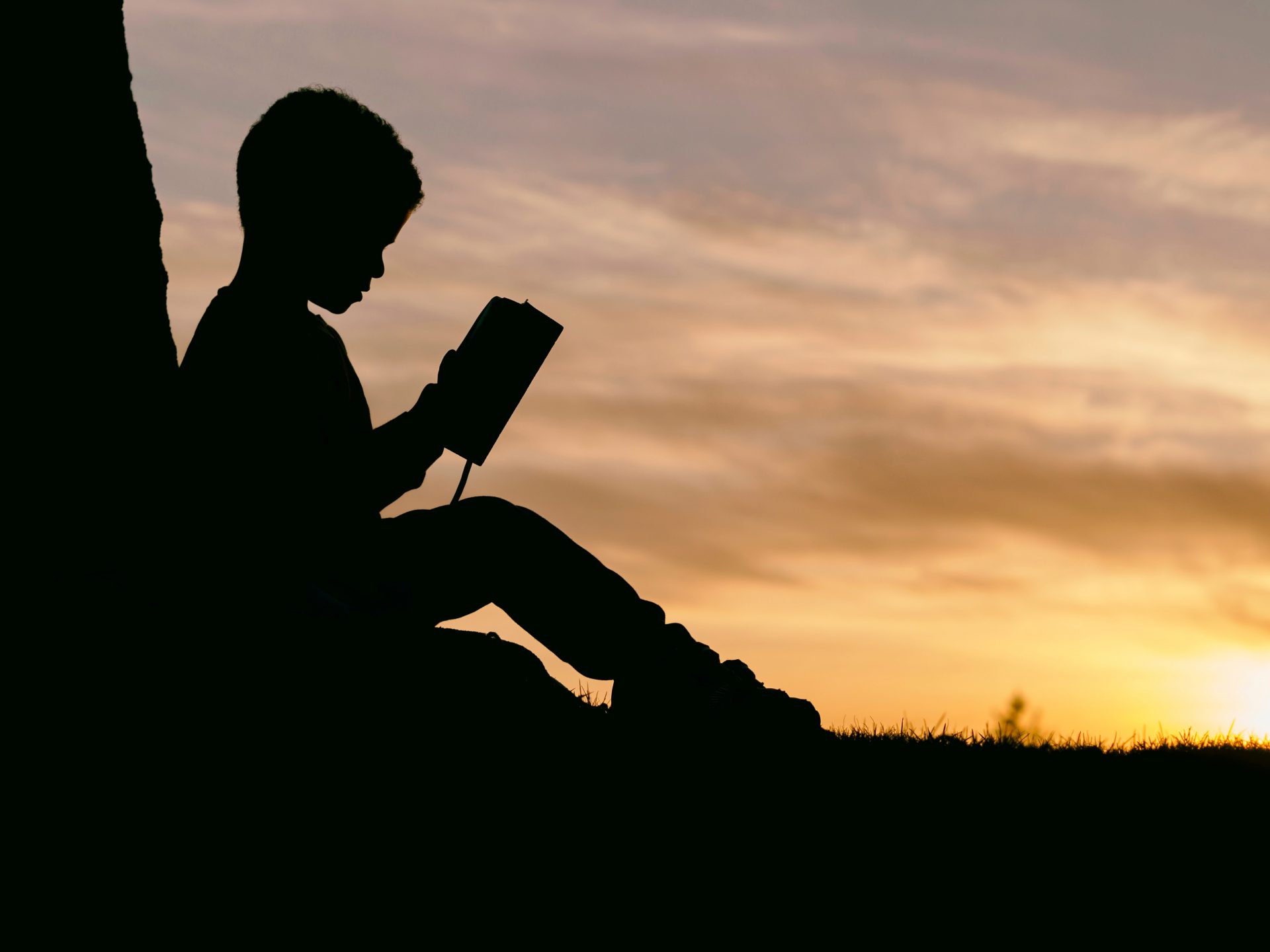 夕日が差し込む木陰で読書をする少年の写真