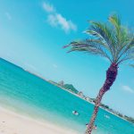 糸島の美しいビーチと椰子の木