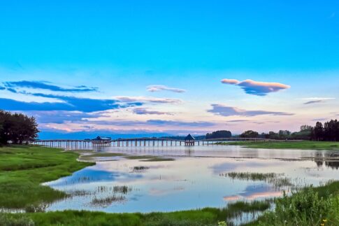 青森県にある鶴の舞橋の風景。長い木製の橋が水面を横切り、両側に小さな屋根のついた休憩所が見える。穏やかな池は空と周囲の緑地を映し出し、遠くの森と広がる青空にはピンクがかった雲が浮かんでいる。