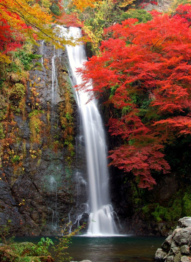 赤い紅葉の木々の間から高さのある滝が流れている様子が見えている。