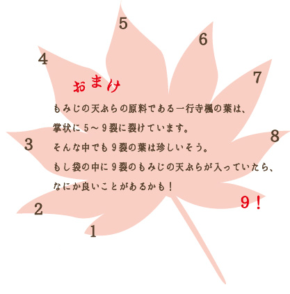 9裂の一行寺楓の葉はめずらしいという主旨の文が描かれている。