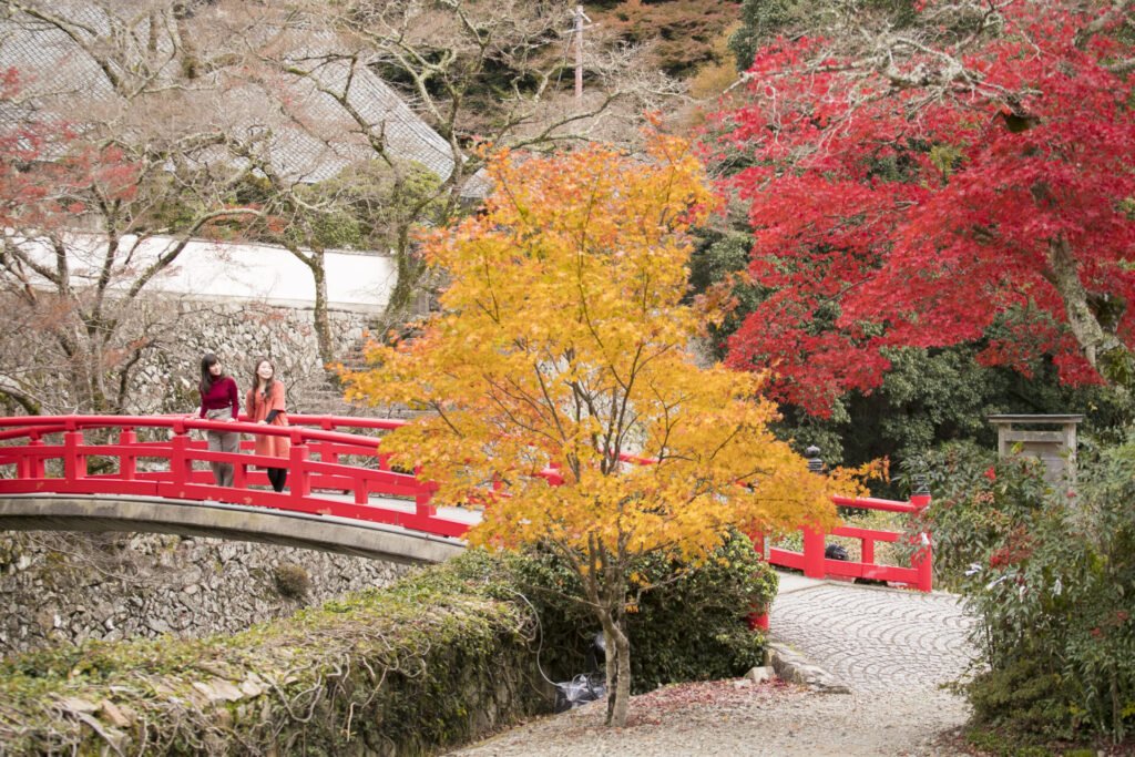 画像右手前から赤い橋がかかっています。橋のたもとの左側には黄色、右側には赤い紅葉の木が立っている。