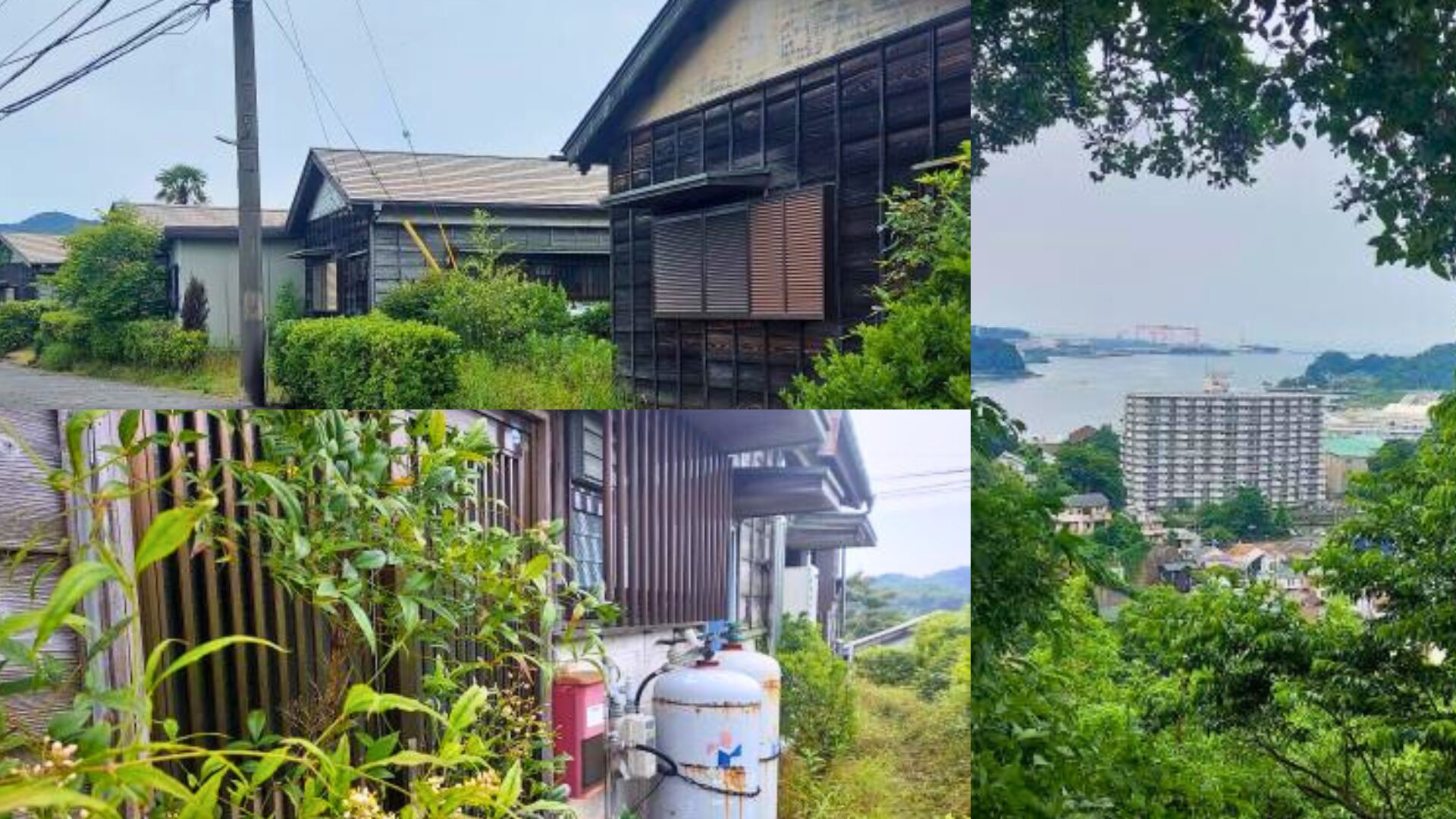 横須賀市田浦月見台住宅の再生プロジェクト。古い住宅地が新しいライフスタイルの拠点として蘇る様子を象徴する風景。