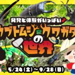 「発見と体験がいっぱい♪カブトムシ＆クワガタの世界」イベントキービジュアル。昆虫イラストと開催期間の日付入り。