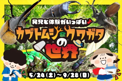 「発見と体験がいっぱい♪カブトムシ＆クワガタの世界」イベントキービジュアル。昆虫イラストと開催期間の日付入り。