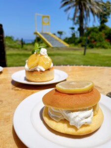 芝生の庭を背景に、レモンを使ったデザートが並んでいる。手前には、レモンスライスが乗ったパンケーキサンドで、中にはクリームがたっぷり挟まれている。奥には、レモンスライスとミントの葉がトッピングされた丸いケーキが見える。どちらのデザートも美味しそうで、背景にはヤシの木が見え、リゾート地の雰囲気が感じられる。