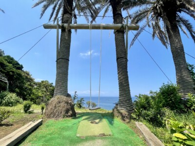 二本のヤシの木の間に設置されたブランコが見える。ブランコは太いロープでしっかりと固定されており、地面には緑の芝が敷かれている。周囲には緑の植物や木々が茂り、自然の中でリラックスできる場所となっている。遠くには海が広がり、青い空と白い雲が美しいコントラストを作り出している。
