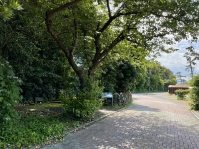 緑豊かな木々に囲まれた静かな道。左側には「竜神宮」へ続く石垣と苔むした道があり、木漏れ日が差し込んでいる。道沿いには青い看板が設置されており、周囲の自然についての案内が書かれている。右側には舗装された道路が続き、奥には古い赤い屋根の建物が見える。緑が豊かで、穏やかで静かな雰囲気が漂う風景。