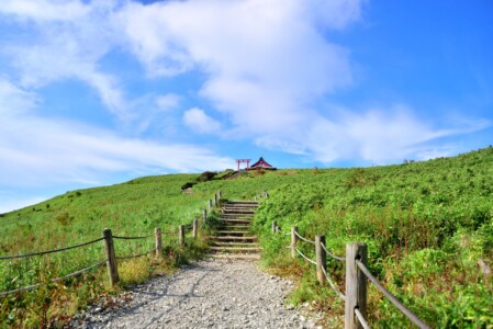 緑の丘の上に建つ箱根元宮の風景。石段が緩やかに登り、左右には草が茂った道が続いている。頂上には赤い鳥居と社殿が見え、青い空に映えている。手前には木製の柵が設置されており、訪れる人々のための歩道が整備されている。晴れた日の清々しい景色が広がり、神聖で静かな雰囲気が漂っている。