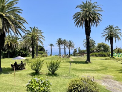 芝生の広場に立つ背の高いヤシの木々が並び、遠くに海が見える風景。中央には木製のテーブルと椅子があり、パラソルの下で座っている人々がいる。青い空と緑の木々が広がるリゾートのような景色で、穏やかな雰囲気が漂っている。