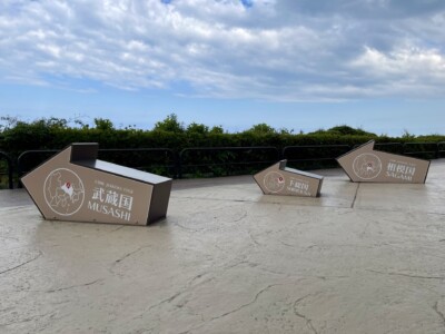 武蔵国、下総国、相模国の矢印モニュメント。地面に設置された3つの灰色の矢印型モニュメントがあり、「十国峠 JUKKOKU TOGE 武蔵国 MUSASHI」、「十国峠 JUKKOKU TOGE 下総国 SHIMOUSA」、「十国峠 JUKKOKU TOGE 相模国 SAGAMI」と書かれています。背景には緑豊かな植生と曇り空が広がっています。各矢印の中には地図と位置を示す赤いポイントが描かれています。