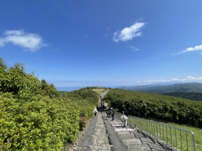 青空の下、緑豊かな山道を歩く人々の様子が写っています。道は舗装されており、左右には手すりが設置されています。道の両側には濃い緑の茂みが広がり、遠くには山々や青い海が見えます。晴天の中、観光客たちは景色を楽しみながらゆっくりと歩いています。背景には広がる自然が広がり、リラックスした雰囲気が感じられます。